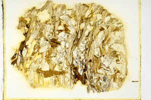 Plane Polarized, ED4389