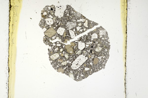 Plane Polarized, ED4391