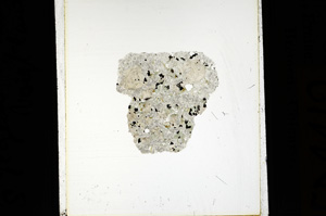 Plane Polarized, ED4412