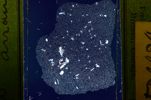 Cross Polarized, ED4424