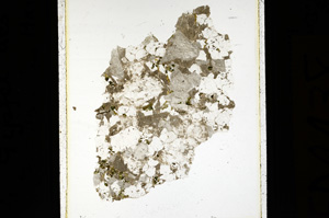 Plane Polarized, ED4438