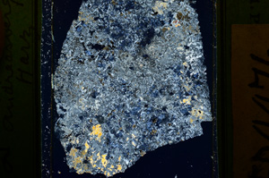 Cross Polarized, ED4476