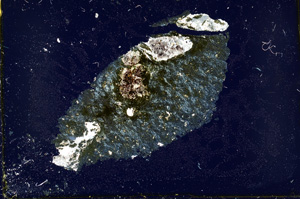 Cross Polarized, ED4600