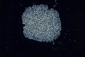 Cross Polarized, ED4610