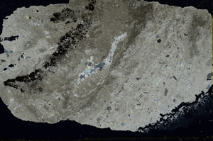 Cross Polarized, ED4663