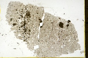 Plane Polarized, ED4721