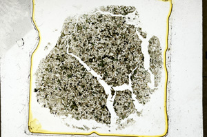 Plane Polarized, ED4724