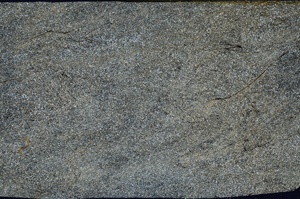 Cross Polarized, ED7770