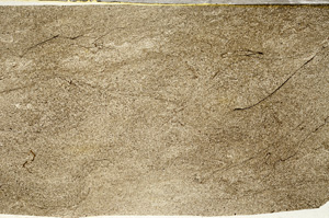 Plane Polarized, ED7770