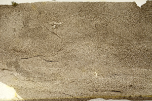 Plane Polarized, ED7777