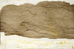 Plane Polarized, ED7778