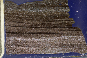 Cross Polarized, ED7782