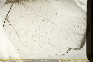 Plane Polarized, ED7784