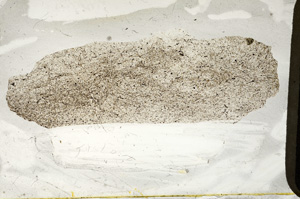 Plane Polarized, ED7786