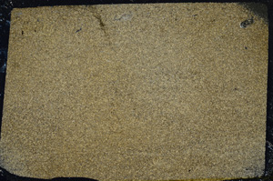 Cross Polarized, ED7788