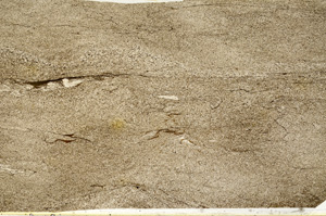 Plane Polarized, ED7796