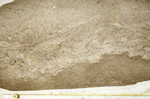 Plane Polarized, ED7798