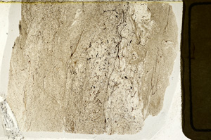 Plane Polarized, ED7821