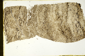 Plane Polarized, ED7838