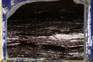 Cross Polarized, ED7864