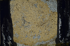 Cross Polarized, ED7866