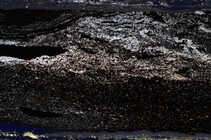 Cross Polarized, ED7868