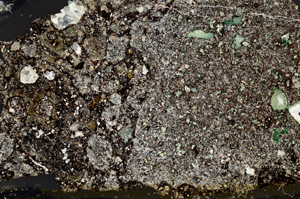 Cross Polarized, ED7885