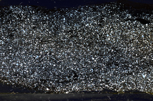 Cross Polarized, ED7904