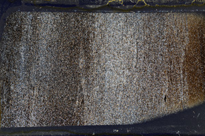 Cross Polarized, ED7918