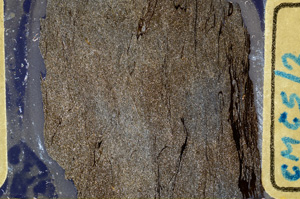 Cross Polarized, ED7966