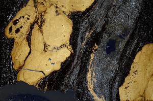 Cross Polarized, ED7972