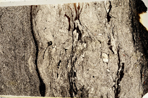 Plane Polarized, ED7975