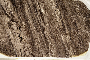 Plane Polarized, ED7976