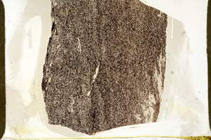 Plane Polarized, ED7978