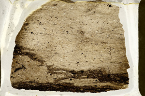 Plane Polarized, ED8088