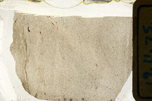 Plane Polarized, ED8100