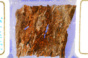 Cross Polarized, ED8105