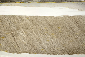 Plane Polarized, ED8300