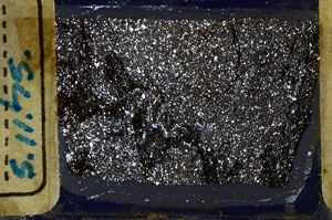 Cross Polarized, ED8367