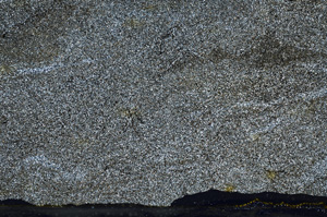 Cross Polarized, ED8429