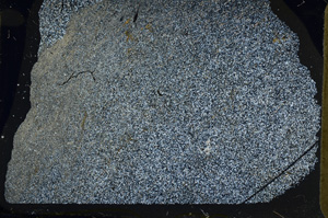 Cross Polarized, ED8438