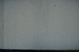 Cross Polarized, ED8446