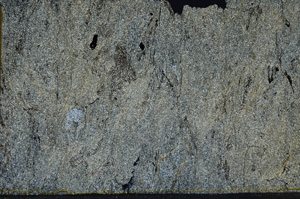 Cross Polarized, ED8448