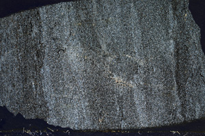 Cross Polarized, ED8449