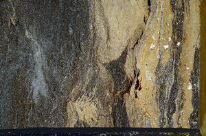 Cross Polarized, ED8453