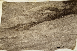 Plane Polarized, ED8454