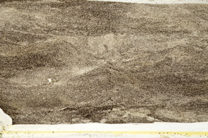 Plane Polarized, ED8455