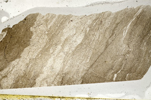 Plane Polarized, ED8460