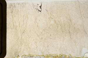 Plane Polarized, ED8469