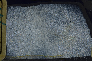 Cross Polarized, ED8475